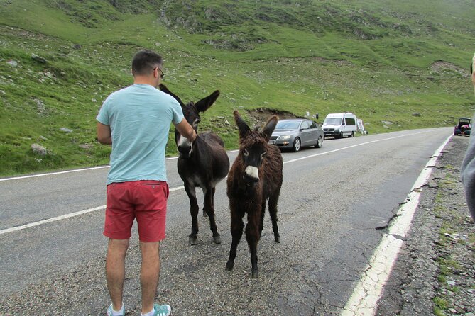 10 Days Private Tour in Romania From Bucharest - Day 4: Castles and Fortresses