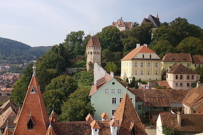 10 Days Private Tour in Romania From Bucharest - Day 7: Wildlife and Nature