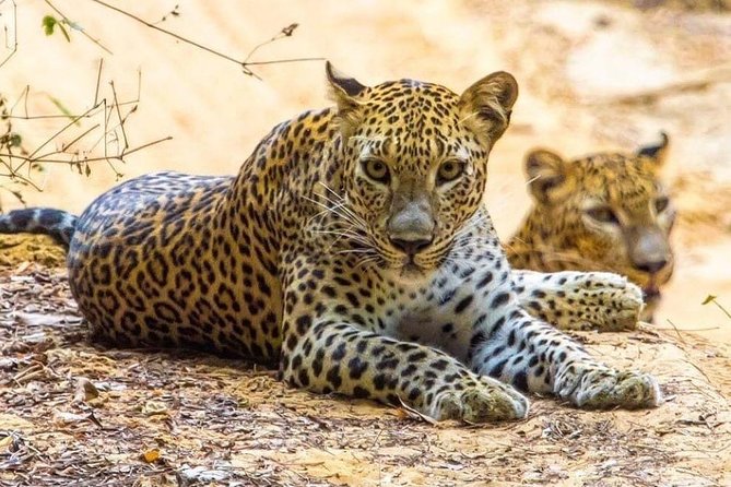 10-Days Private Tour Package. English Speaking Driver and Private Luxury Vehicle - Important Reminders