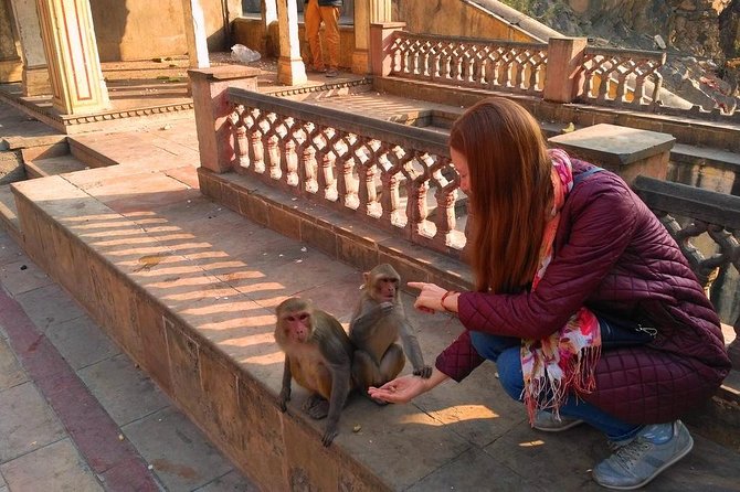 10-Days Rajasthan & Agra Tour From Delhi Includes Hotels,Transportations & Guide - Tour Itinerary Overview