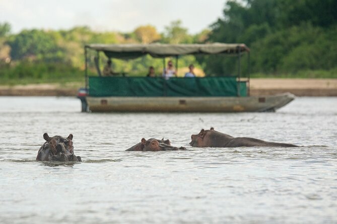 10-days Safari Mikumi + Udzungwa + Ruaha + Selous - Mikumi National Park Exploration