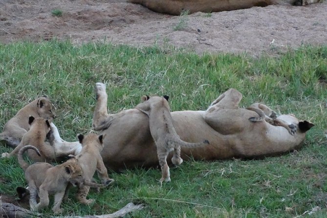 10 Days Safari to Nyerere NP, Ruaha NP, Udzungwa NP and Mikumi NP + Isimila Site - Exploring Isimila Archaeological Site