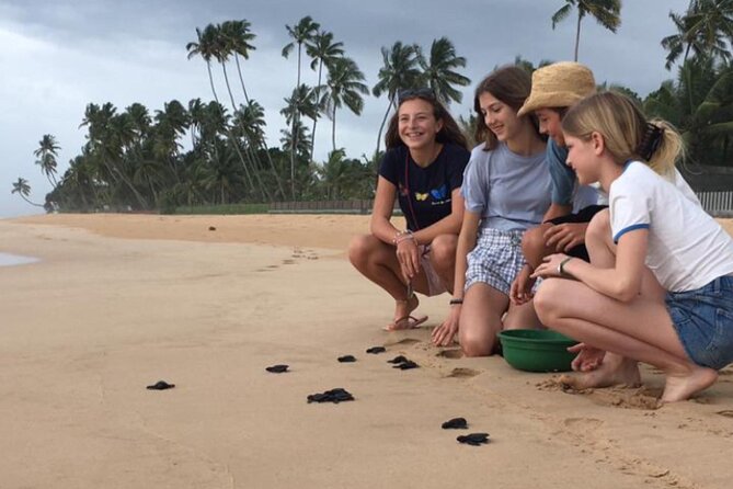 10 Days Sri Lanka Tour With Transportation - Questions and Contact Information