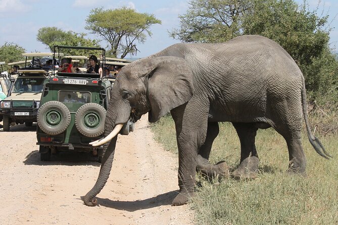 10 Days Tanzania Safari Private Tour - Accommodation Details