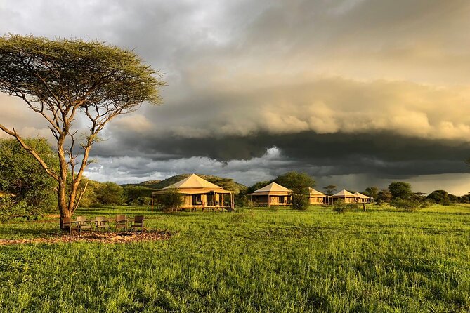 10 Days Tanzania Safari Private Tour - Safety and Health Guidelines