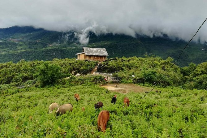 10 Days Vietnam- Cambodia - Discovering Siem Reap
