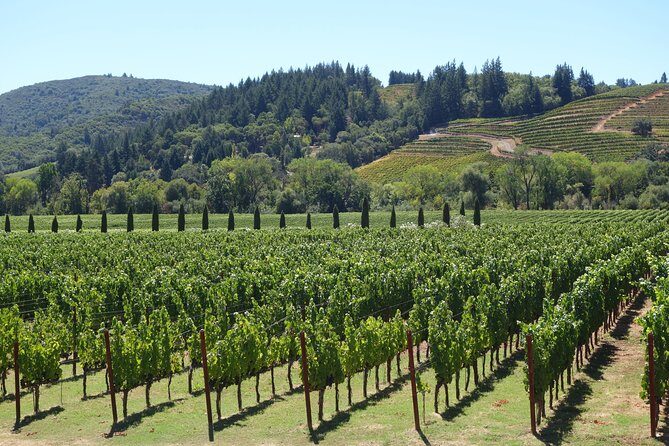 10-Hour Napa Valley Wine Tasting Tour Customized Private Tours - Introduction