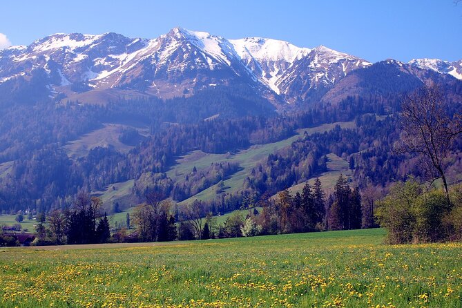 10-Hour Private Tour in Bern From Zurich - Lowest Price Guarantee