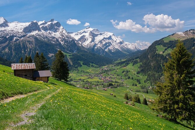 10-Hour Private Tour in Bern From Zurich - Check Availability