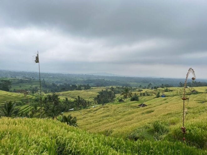 10 Hour West Bali Tour Taman Ayun, Ulun Danu & Tanah Lot - Activities During the Tour
