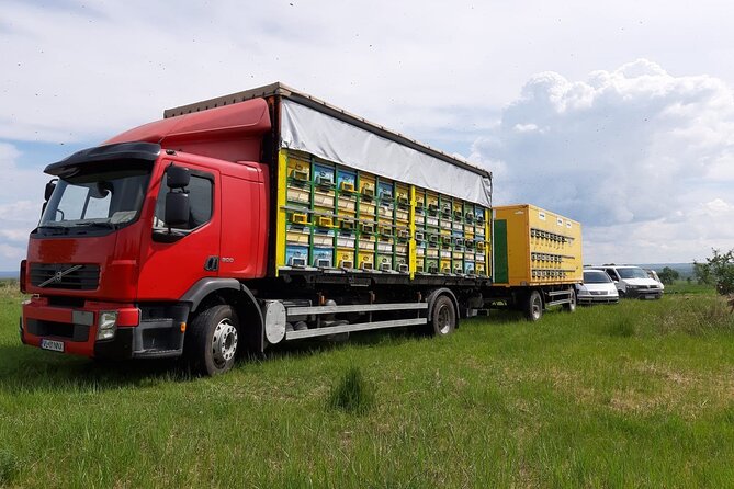 10 Hours Private Apiary Tour in Romania - From Bucharest - Tour Overview