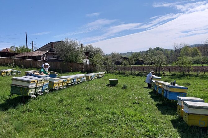 10 Hours Private Apiary Tour in Romania - From Bucharest - Customer Reviews