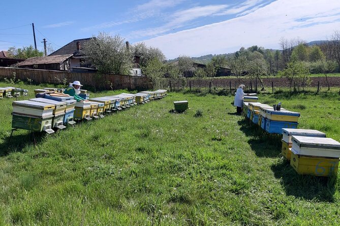 10 Hours Private Apiary Tour in Romania - From Bucharest - Booking and Reservation