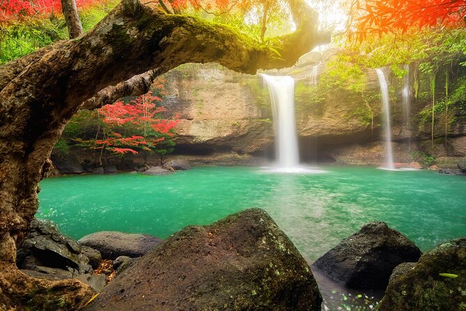 10 Hours Private Hiking in Khao Yai National Park From Bangkok - Lunch Amidst Nature