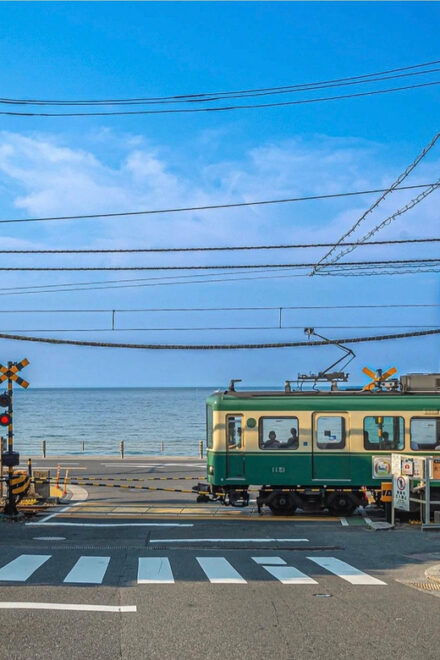 10 Hours Tour in Hakone - Transportation Options