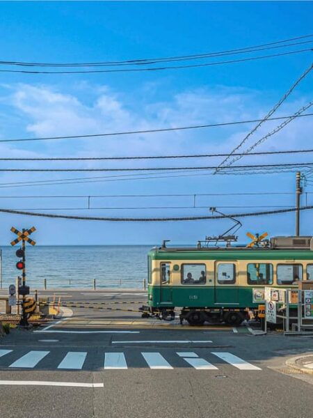 10 Hours Tour in Hakone - Accessibility Features