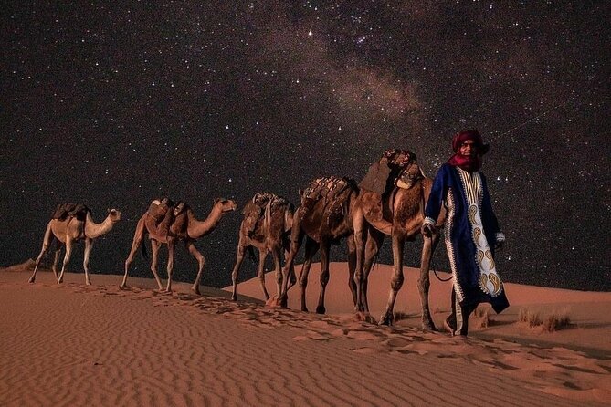 10 Luxury Days Tour to Casablanca via Desert From Marrakech - Travel Logistics