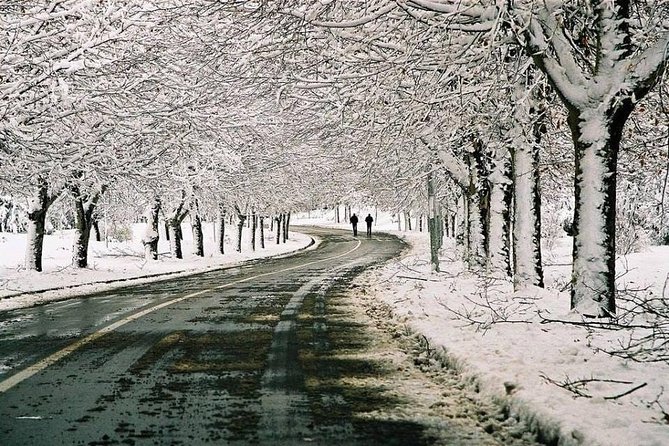 10 Luxury Days Tour to Casablanca via Desert From Marrakech - Dining Experiences