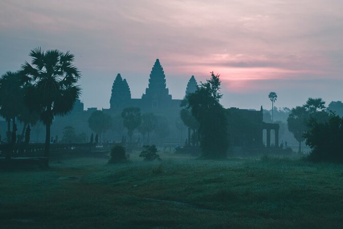 10 Must-See Temples in Angkor Park (Private Guided Tour With SUV Car Driver) - Ta Prohm