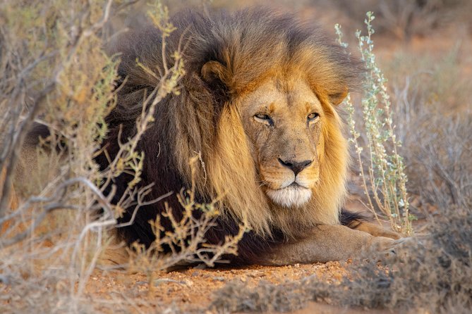 10 Namibia Adventures - Hiking the Fish River Canyon