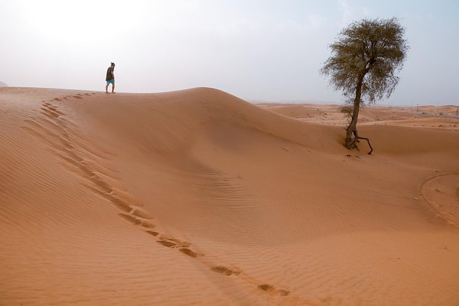 10 Namibia Adventures - Stargazing in the NamibRand Nature Reserve