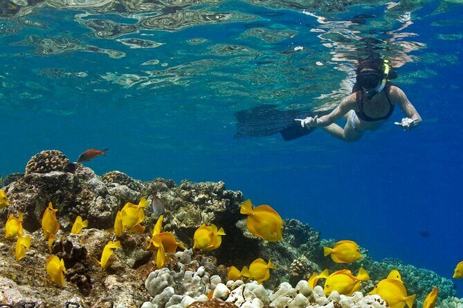 10 Passenger Max Customizable Private Charter - Good To Know