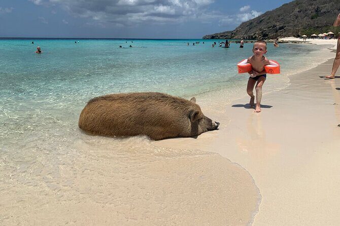 10 Seats Private Van Beach hopping (AC) - Good To Know