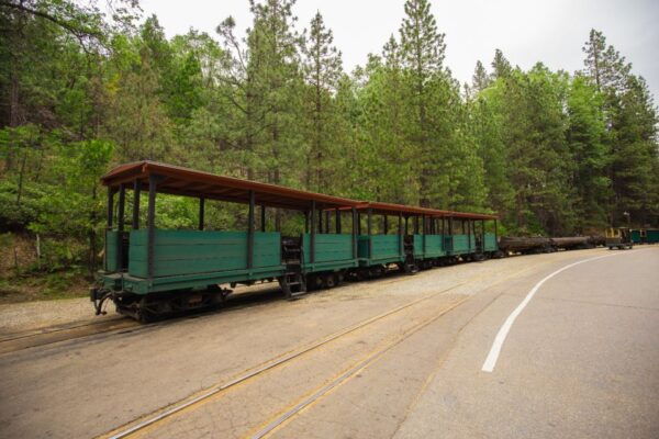 10+ Self-Guided Driving Tours From Las Vegas - Kings Canyon National Park Tour