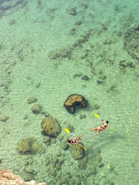 100% Clear Kayak Tour From Benagil Beach With a Local - Experience Highlights