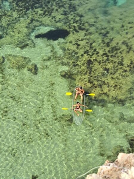100% Clear Kayak Tour From Benagil Beach With a Local - Contact and Additional Info