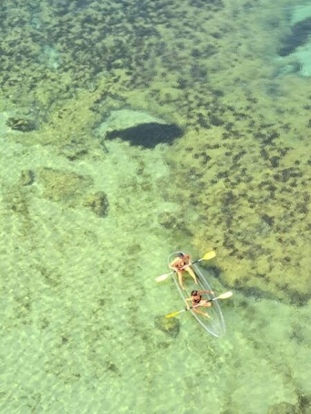 100% Clear Kayak Tour From Benagil Beach With a Local - Frequently Asked Questions