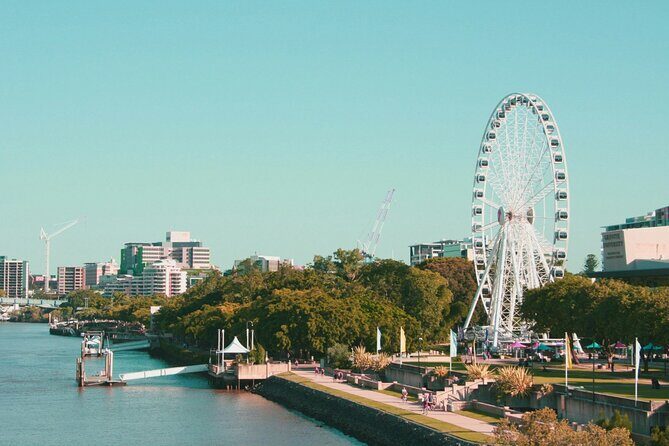 100% Customize Private One Day Tour in Brisbane - Final Words