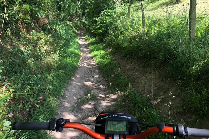 100% Emotion" Ride on an All-Terrain Electric Scooter - Experience and Accessibility Information