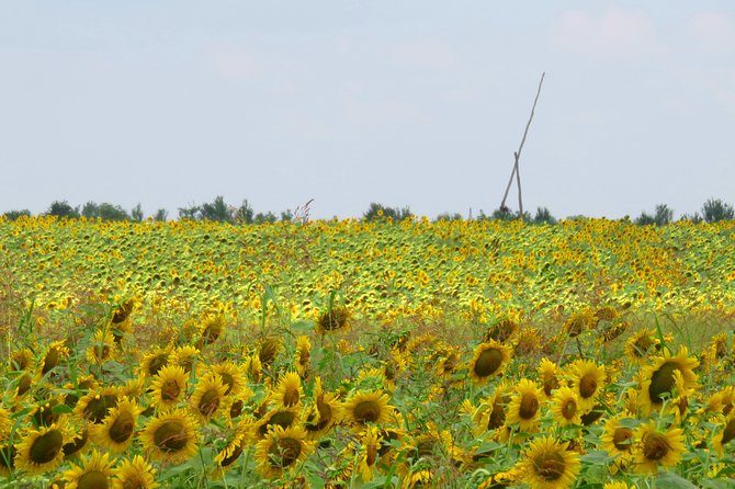 100 Km by Bike Near Bucharest - Meeting and Pickup