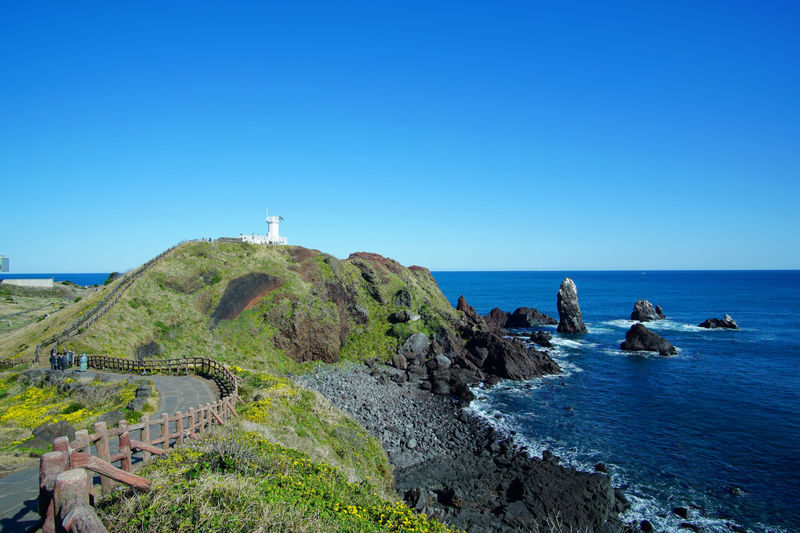 (100% Safety Return) Small Group Jeju Cruise Shore Excursion - The schedule is flexible, not leisurely