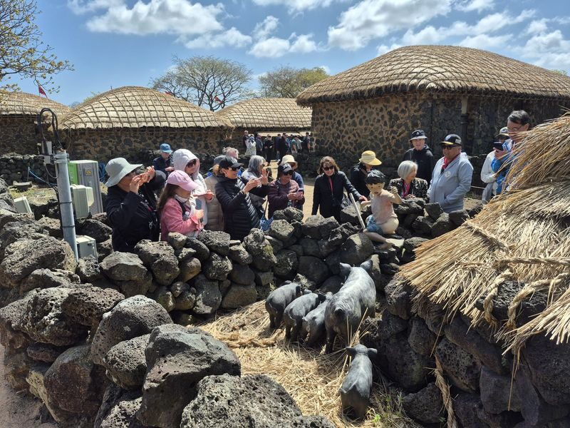 (100% Safety Return) Small Group Jeju Cruise Shore Excursion - Who should book this Jeju shore excursion?