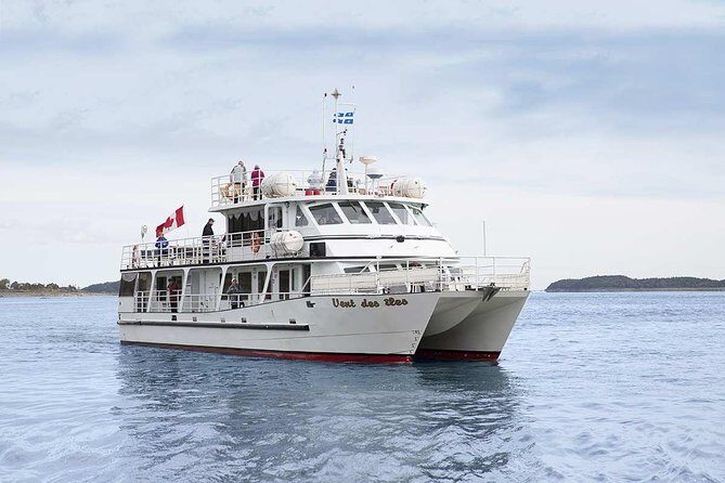 1000 Little Penguins Cruise - Good To Know