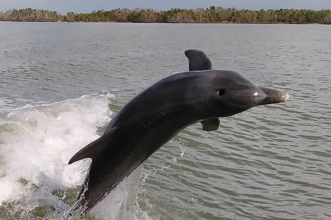 10,000 Islands Boat Excursion - 3.5-Hour Dolphins & Shelling Tour - Departure Location and Route