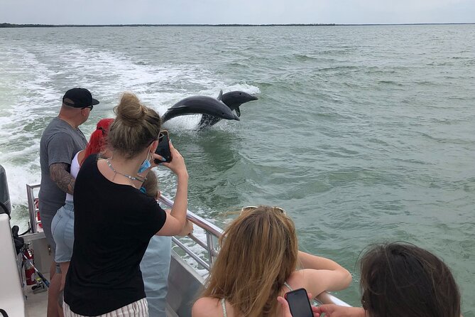 10,000 Islands Excursion Small-Group 3.5 Hour Dolphin & Shelling Boat Tour - Tour Overview and Details