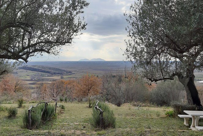 1001 Windows of Berat & Golden Sunset in Apollonia - Practical Tips