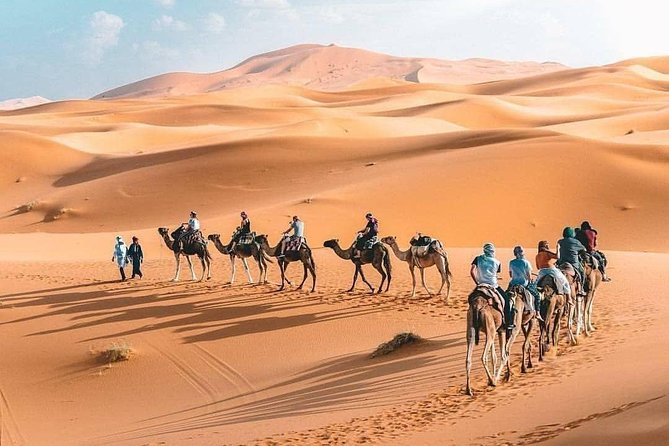 10D 9N Private Morocco Tour From Casablanca By Imperial Cities And South Desert - Traveler Reviews and Satisfaction
