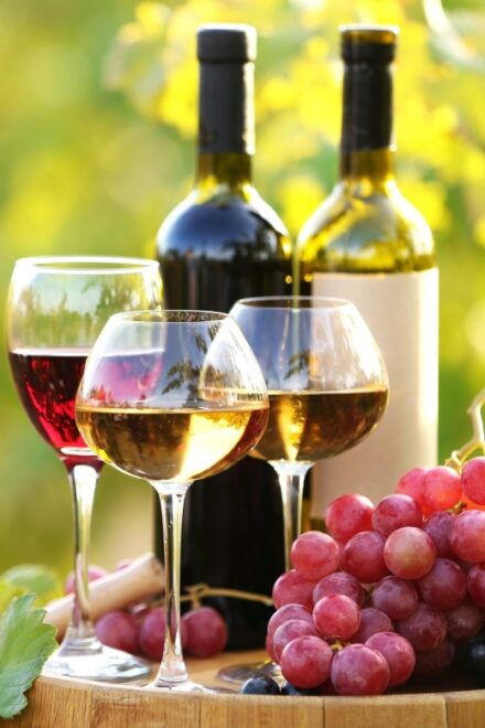 11 Course Lunch, Wine Tasting & Cooking Mastery in Rhodes - Booking Information
