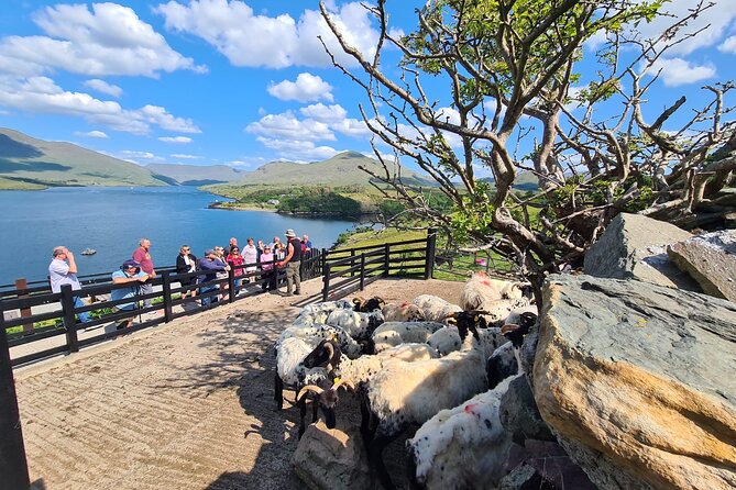 11-Day Discover Ireland Small-Group Tour From Dublin - Traveler Photos