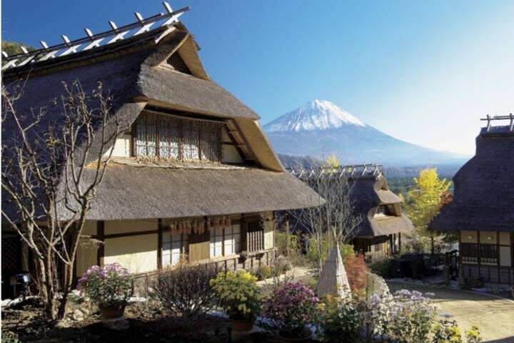 11 Day Explorer Central Japan Snow Monkey Park by UME Travel - Tokyo to Osaka - Suwa Lake and the Jigokudani macaques