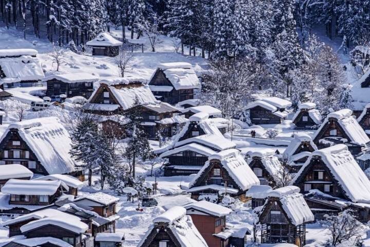 11 Day Explorer Central Japan Snow Monkey Park by UME Travel - Tokyo to Osaka - What the $5,760 price covers, and what it does not