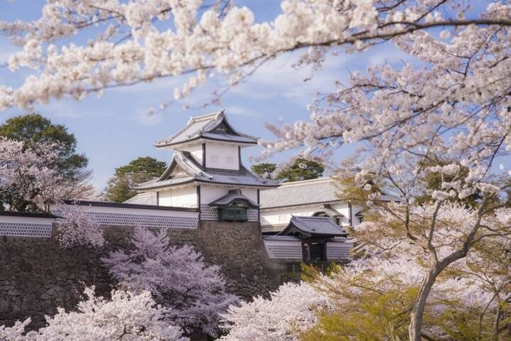 11 Day Explorer Central Japan Snow Monkey Park by UME Travel - Tokyo to Osaka - Who will get the most from this route
