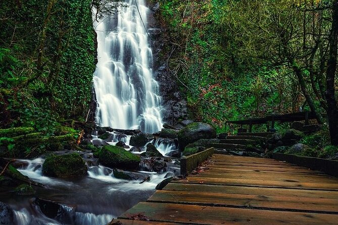 11 Day Grand Tour Around Georgia, Hospitality and Lifestile - Excluded Expenses