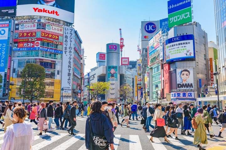 11 Day Highlights of Japan Small Group Tour Package by Tourist Journey - Osaka’s food alleys and canal lights