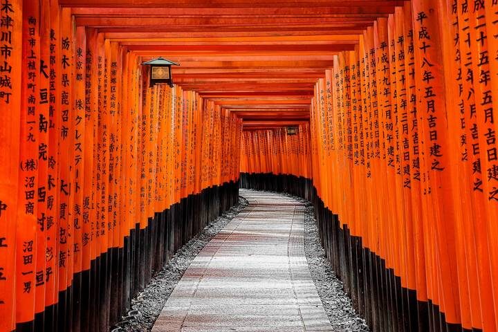 11 Day Highlights of Japan Small Group Tour Package by Tourist Journey - What the price includes, and what it leaves to you