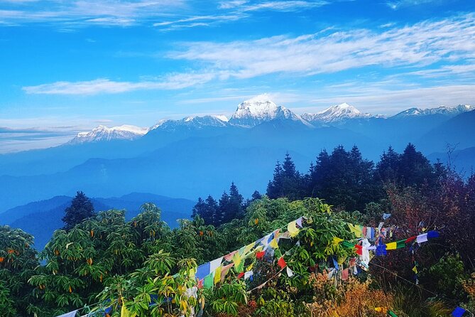 11-Day Hike Tour to Annapurna Base Camp Bliss in Kathmandu - Itinerary